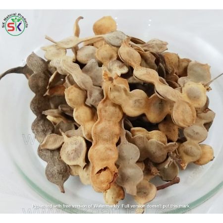 Phali Keekar (100gm) پھلی کیکر