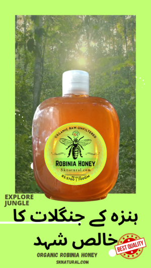 Organic Robinia Honey